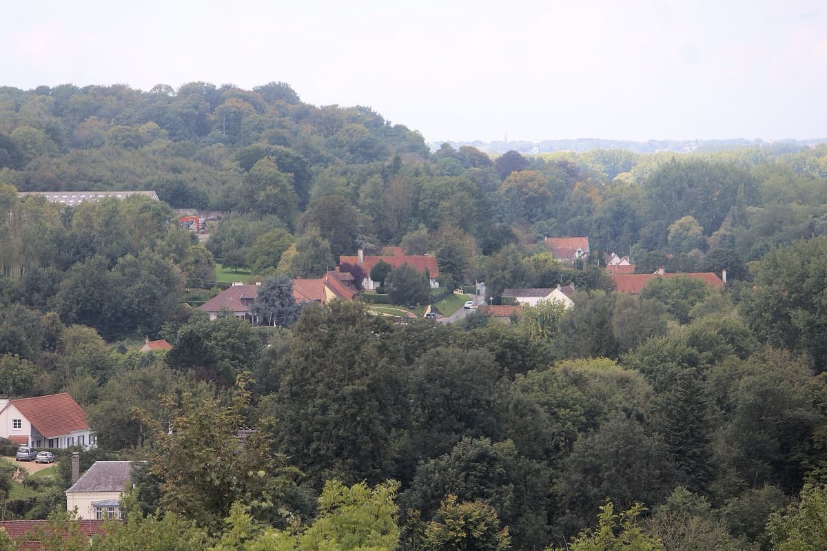 Rénovation de sols à La Calotterie (62170) La Calotterie (62170) — vue de la ville
